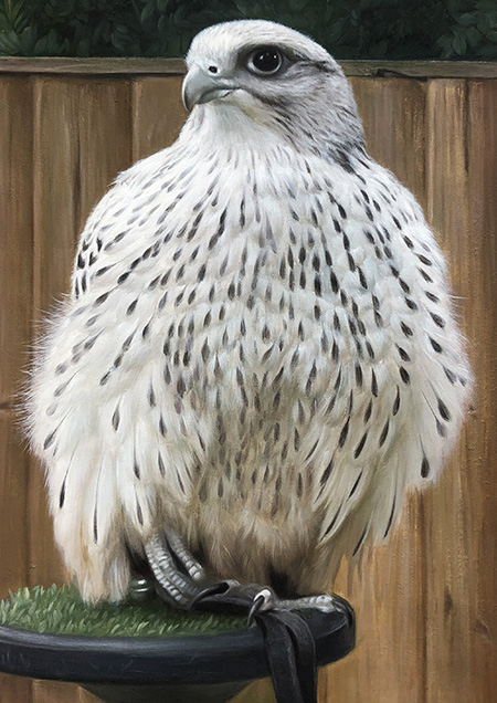 Painting of a falcon