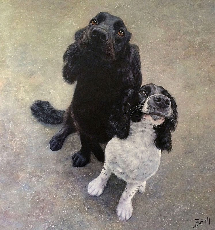 A portrait of 2 dogs looking up at the camera