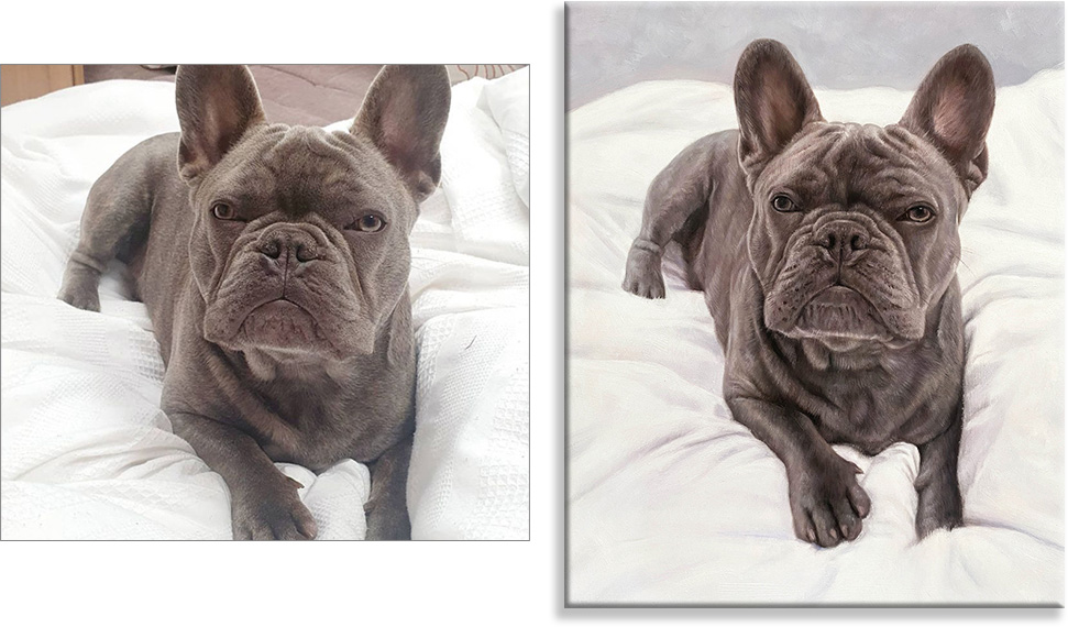 How we edit your photo to make a beautiful portrait of your dog