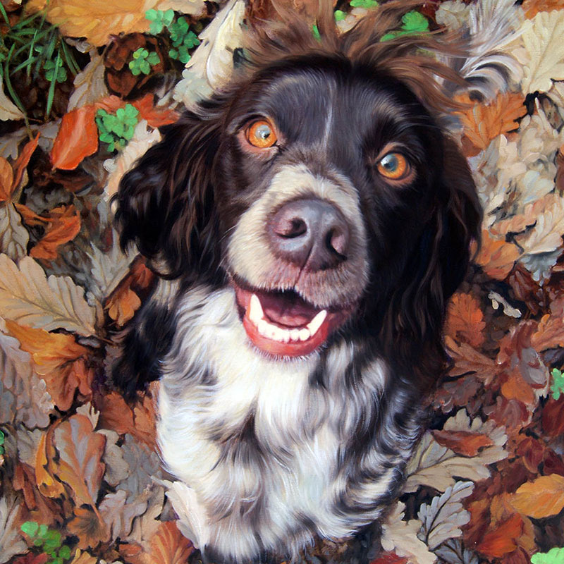 A portrait of a dog's eyes