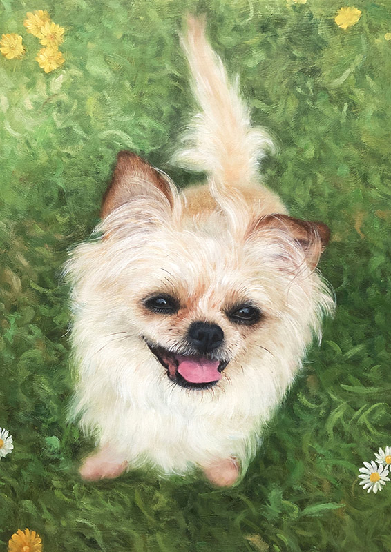 Dog with Daisies