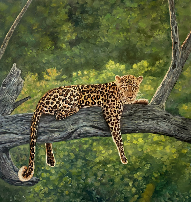 Leopard, Kitara
