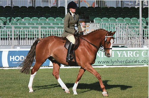 Amy Roberts Original Photograph