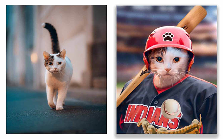 Painting of a cat playing baseball